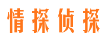 东安市婚外情调查